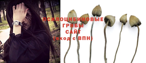 гашишное масло Новодвинск