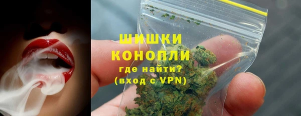 прущие грибы Новокубанск