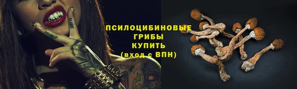 не бодяженный Новозыбков