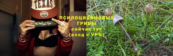 гашишное масло Новодвинск