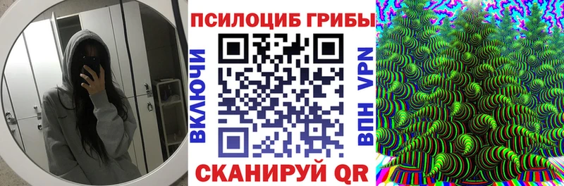 Псилоцибиновые грибы мухоморы  где продают наркотики  Щёлково 